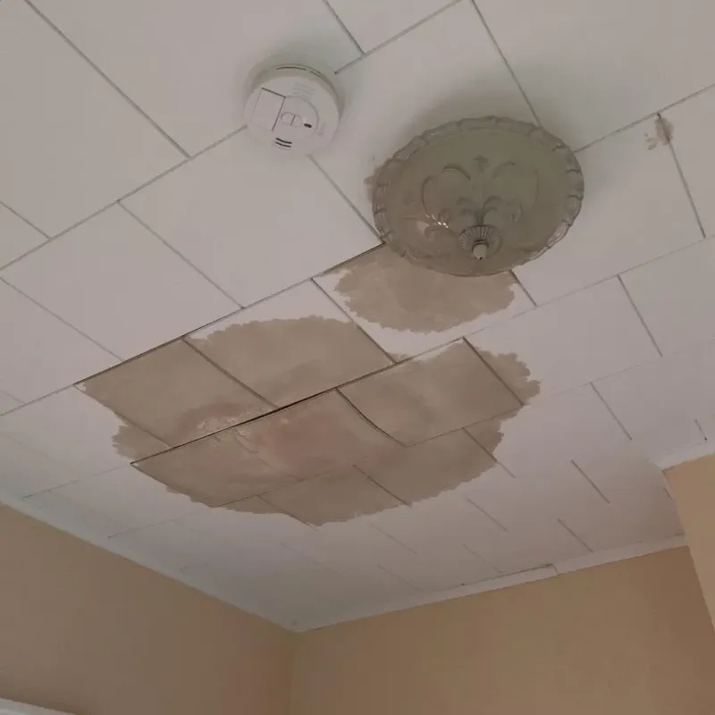 Ceiling Water Damage Repair in Haven, KS