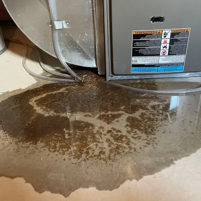 Pipe Burst and Leak Restoration in Haven, KS