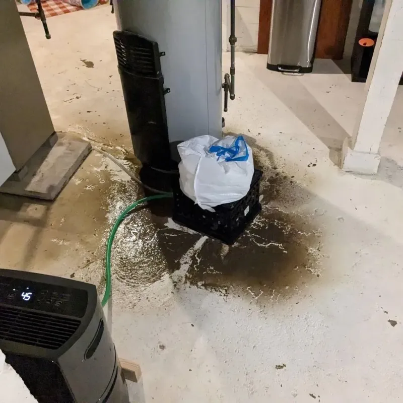 Sewage Backup Cleanup Service in Haven, KS